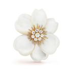 Van Cleef & Arpels Rose de Noël Collection Large Christmas Rose Brooch
