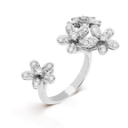 Van Cleef & Arpels Socrate Collection