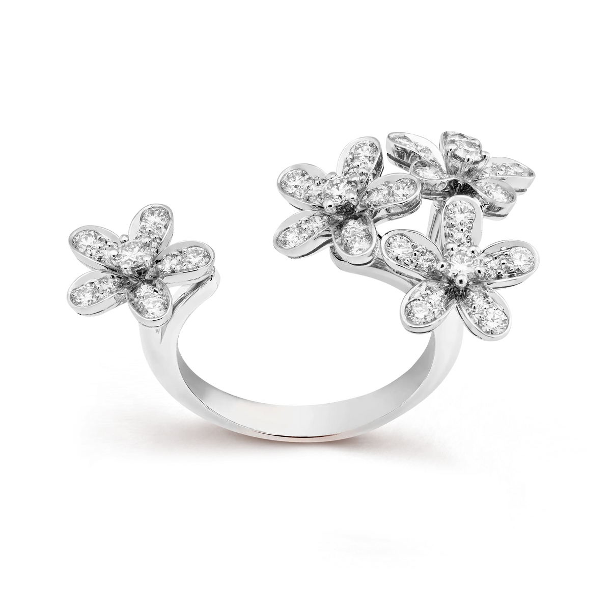 Van Cleef & Arpels Socrate Collection