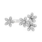 Van Cleef & Arpels Socrate Collection