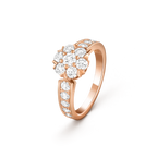 Van Cleef & Arpels Fleurette Collection